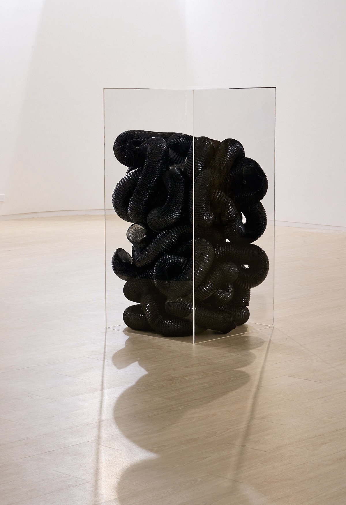 We are living in a room installation by oneg - mixed media exploring body exterior and interior duality